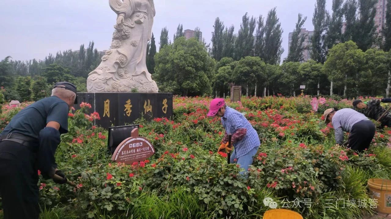 微信图片_20250728090136.jpg