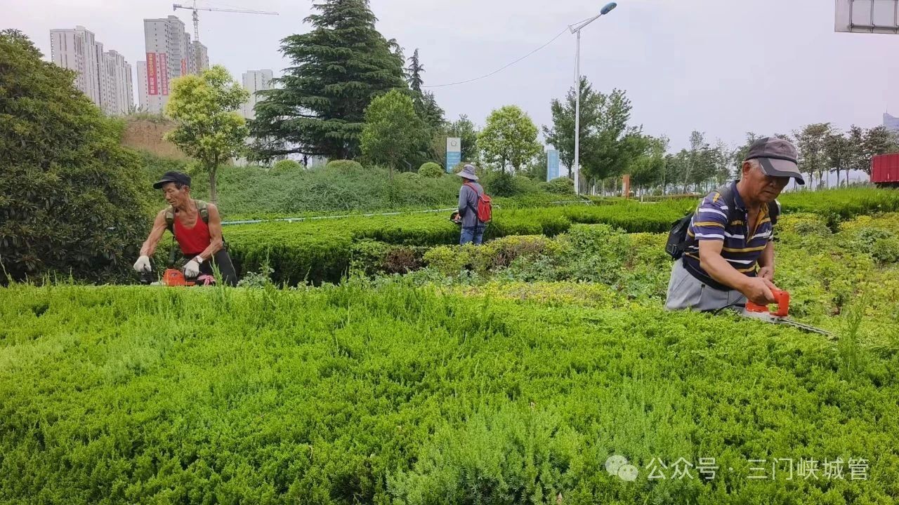 微信图片_20250606082847.jpg