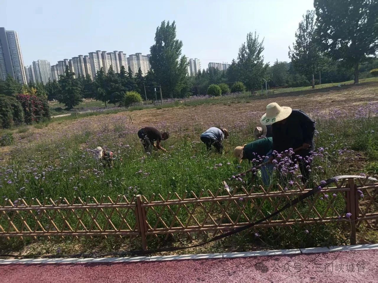 微信图片_20250606082858.jpg