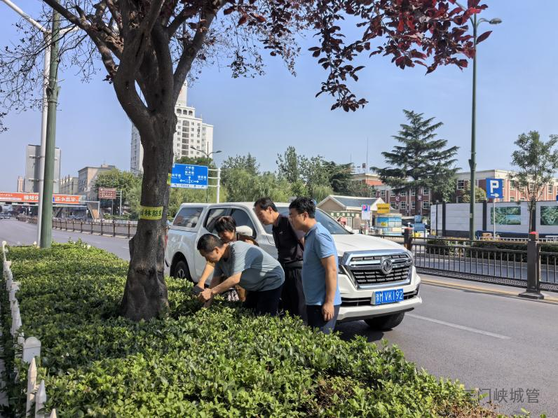 微信图片_20250616161745.png