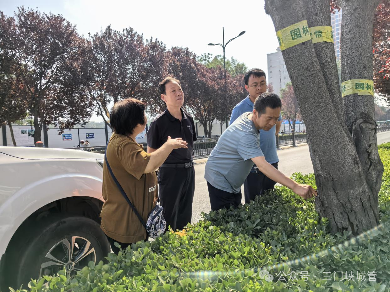 微信图片_20250616161749.png