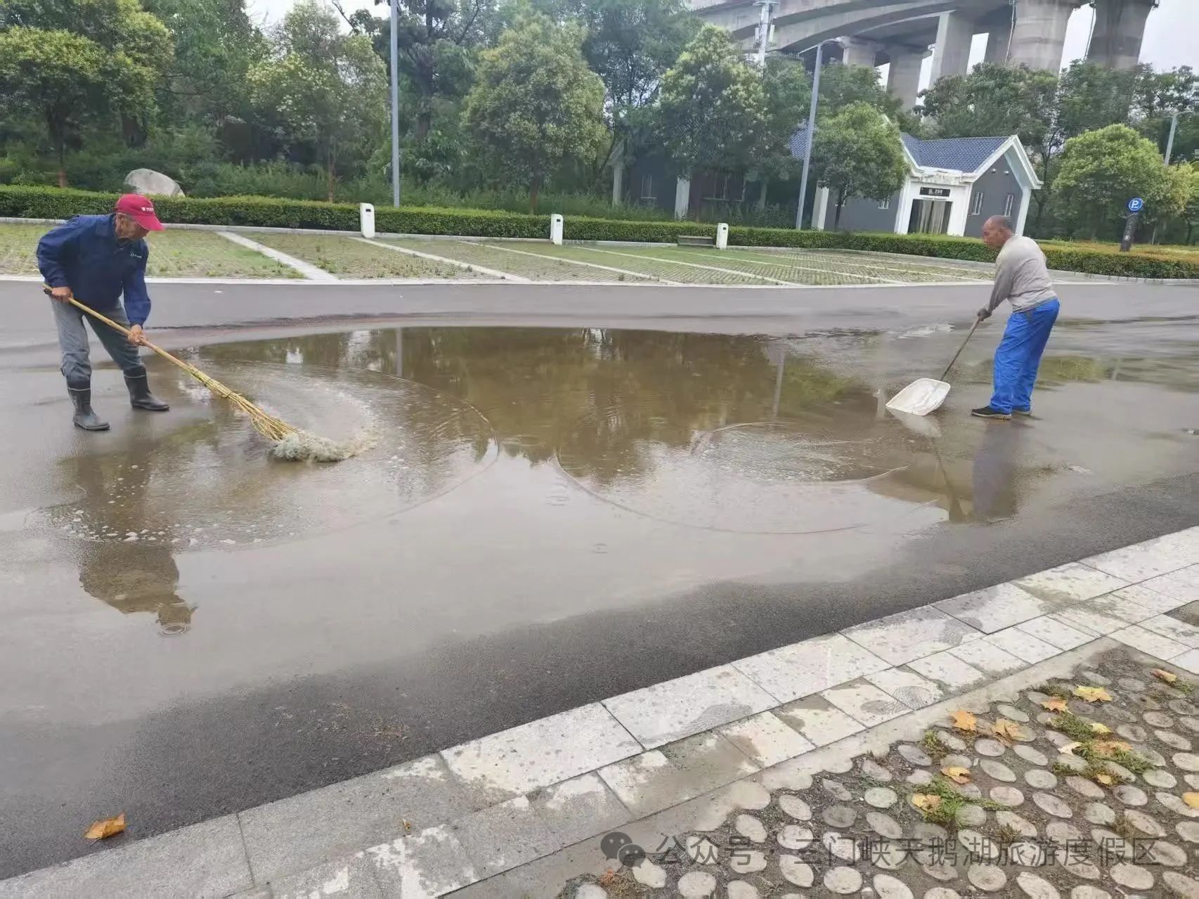 微信图片_20250620090301.jpg