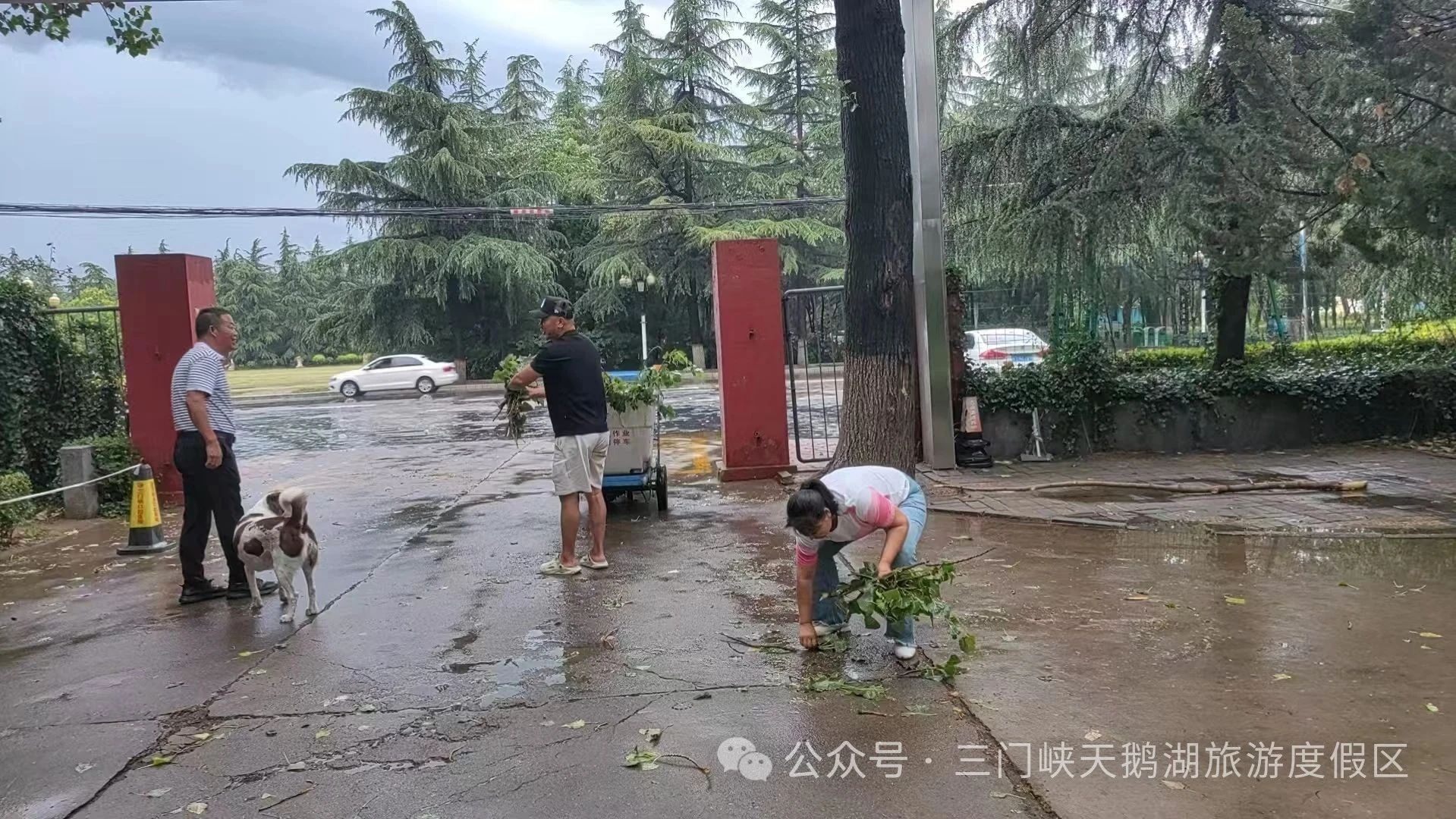 微信图片_20250620090319.jpg