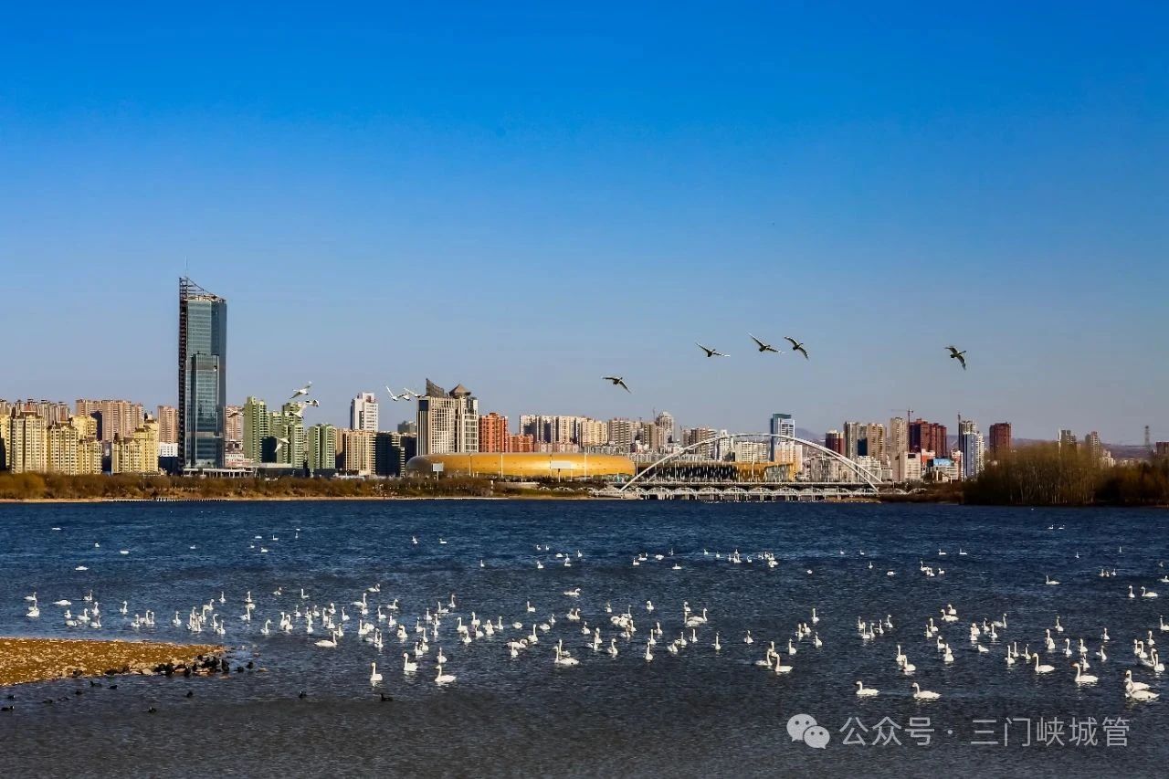 微信图片_20250822083009.jpg