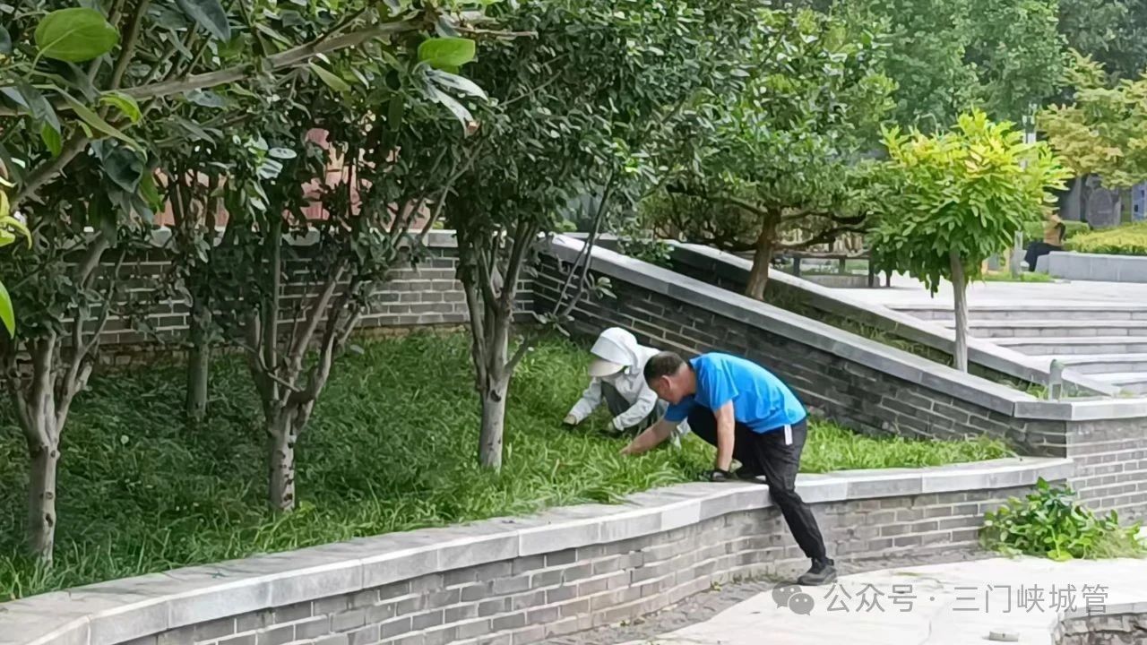 微信图片_20250627080636.jpg