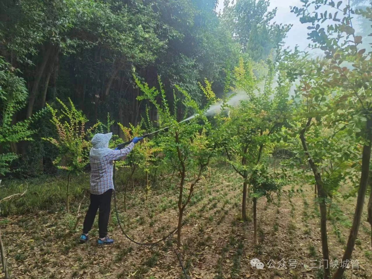 微信图片_20250704082125.jpg