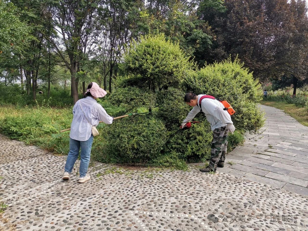 微信图片_20250901083004.jpg
