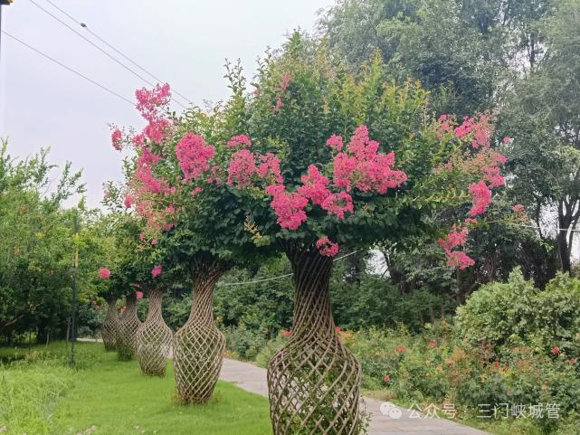 微信图片_20250709083446.png