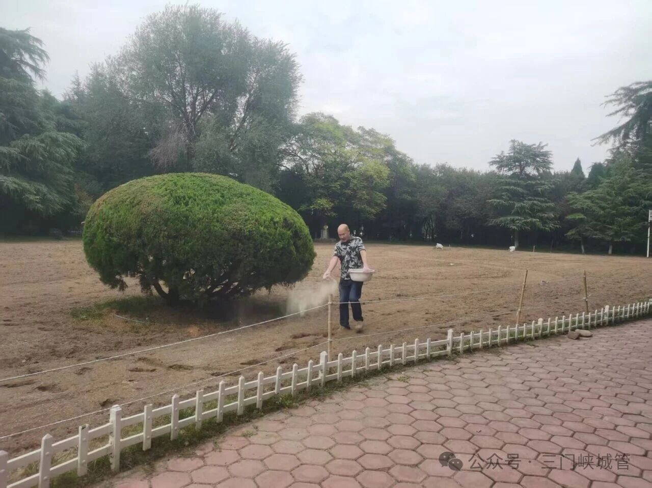 微信图片_20250904083642.jpg