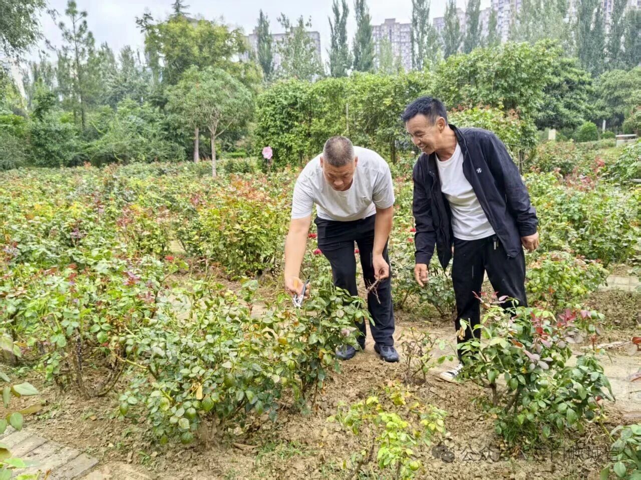 微信图片_20250905083316.jpg