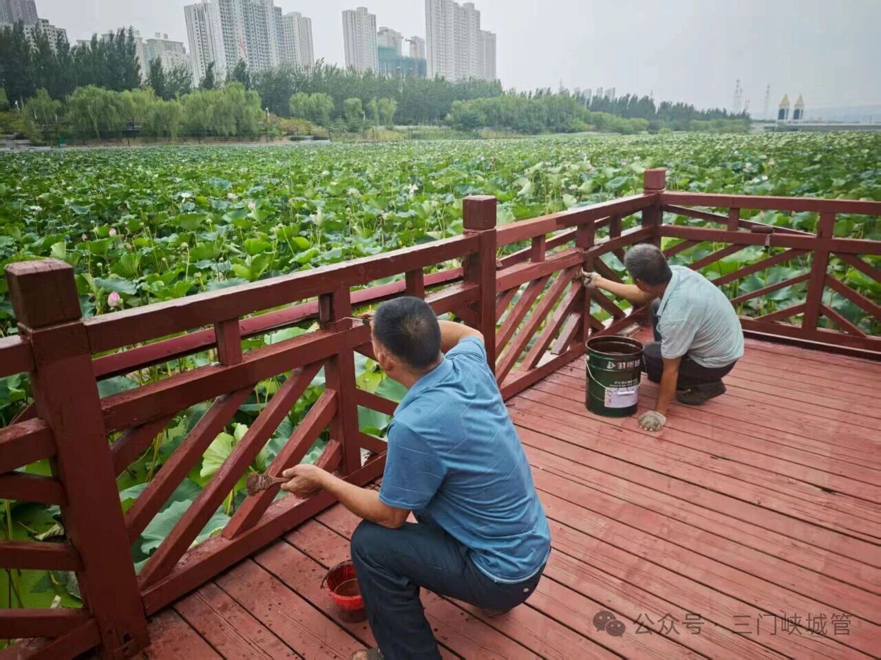微信图片_20250912082100.jpg
