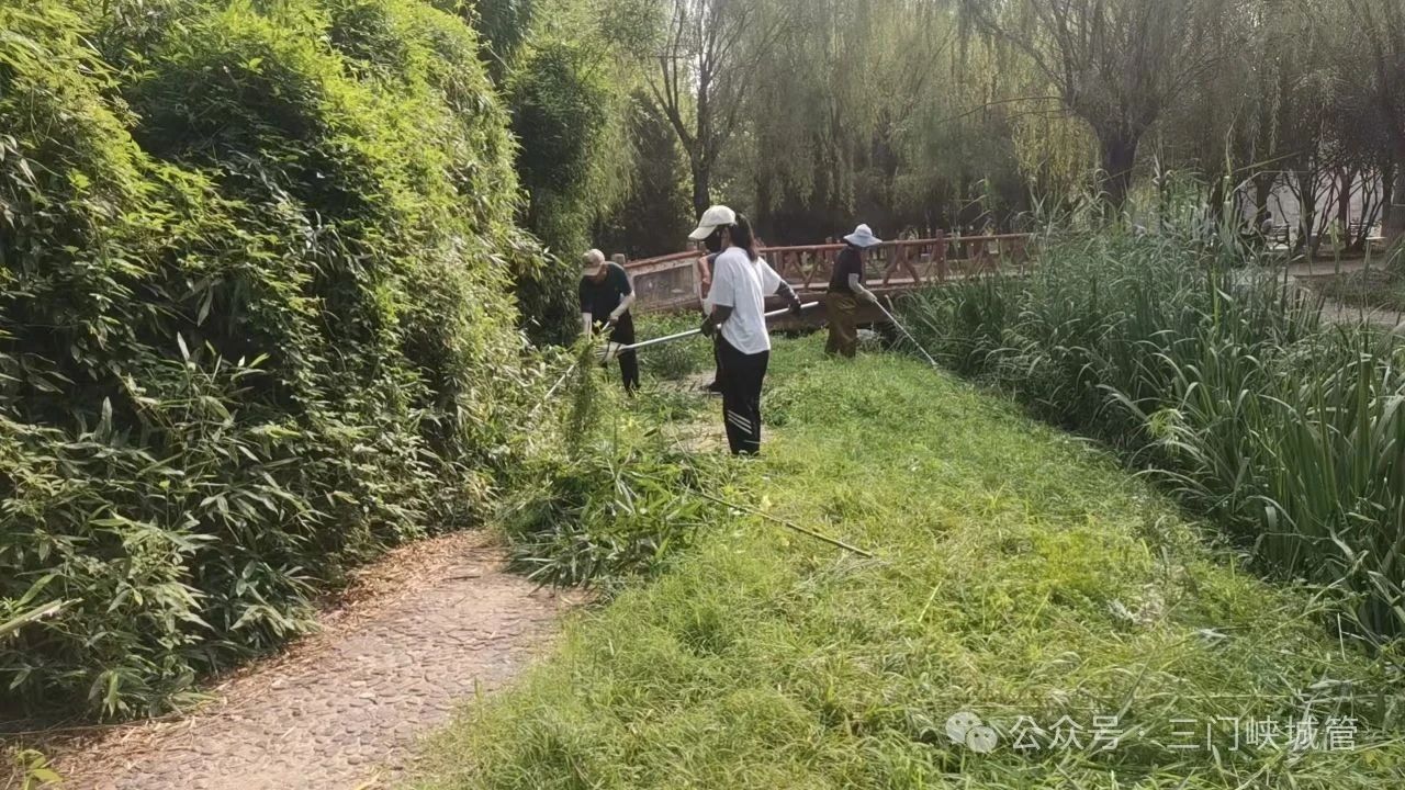 微信图片_20250721084830.jpg