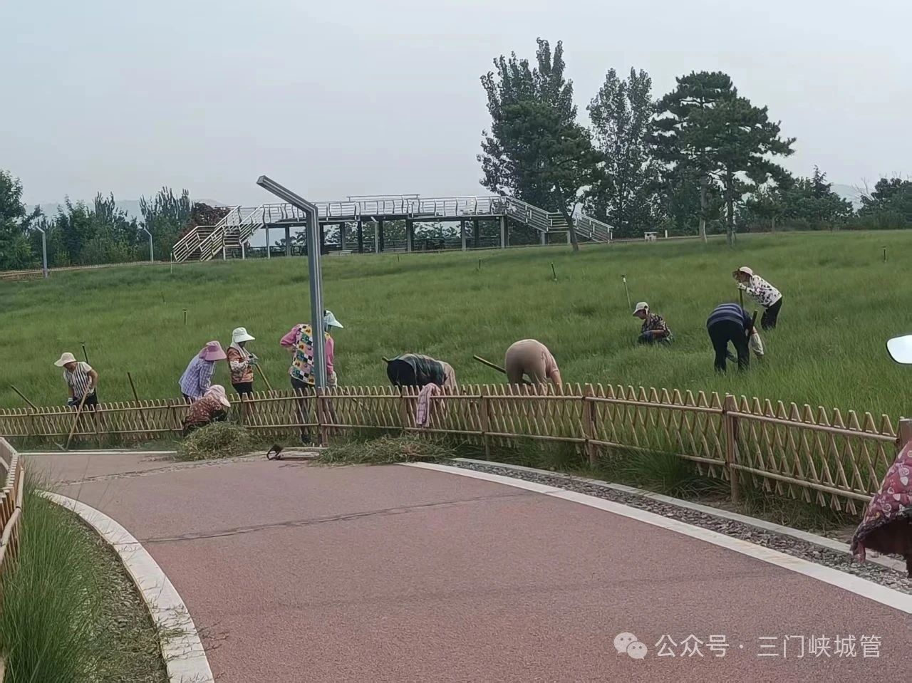 微信图片_20250728090147.jpg