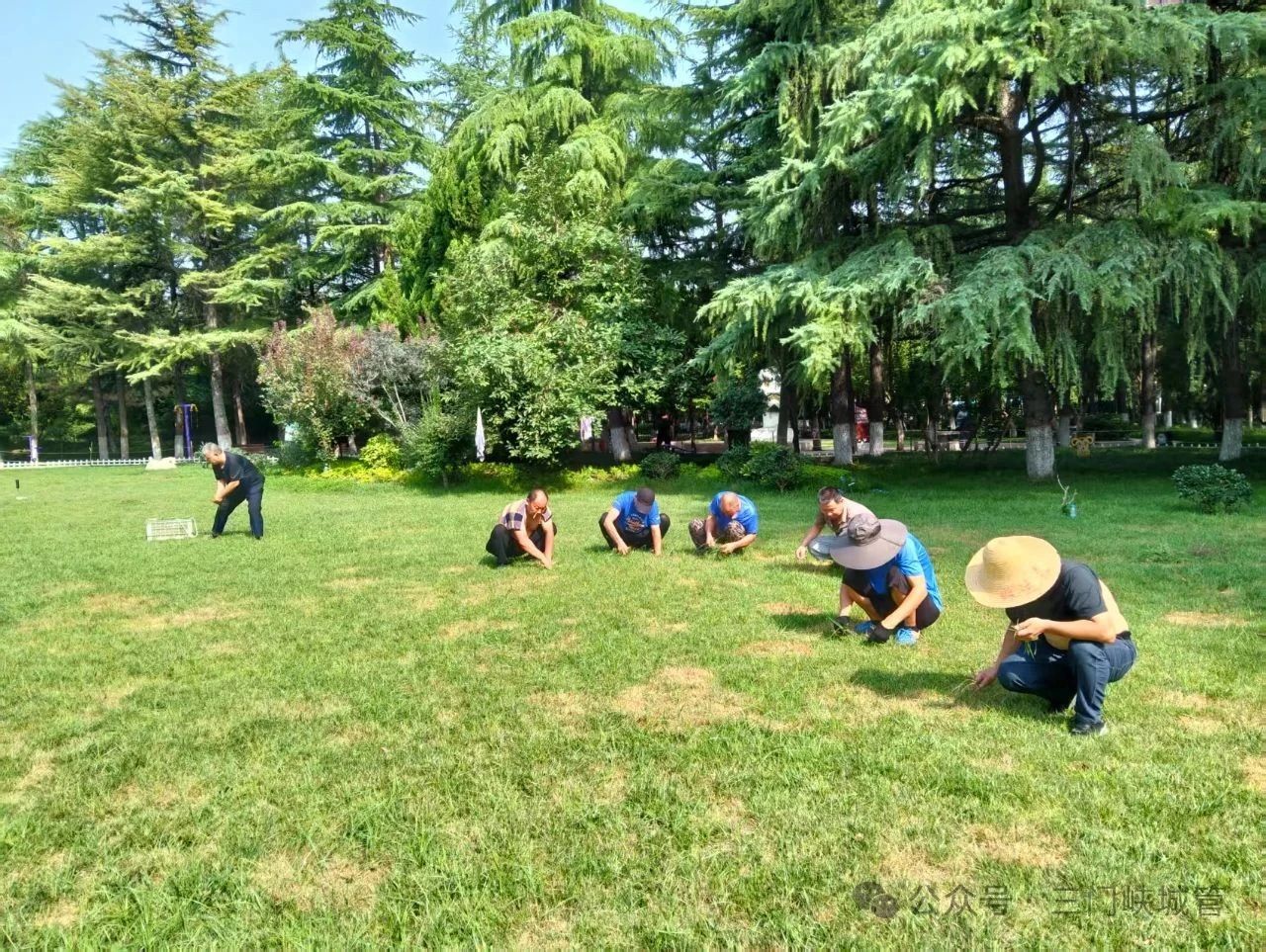 微信图片_20250728090151.jpg