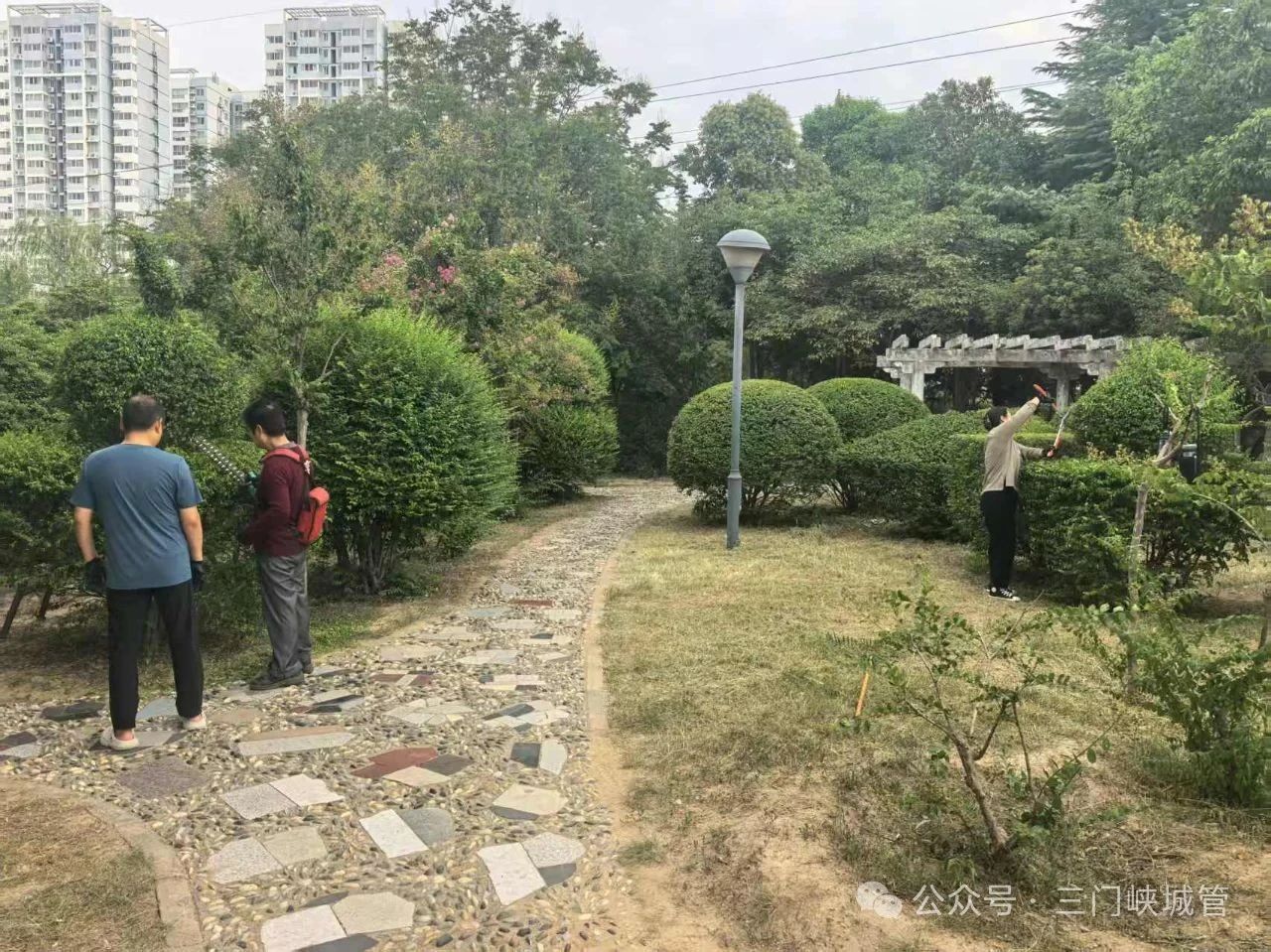 微信图片_20250812083019.jpg