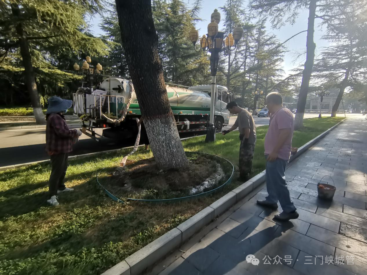 微信图片_20250821081741.png