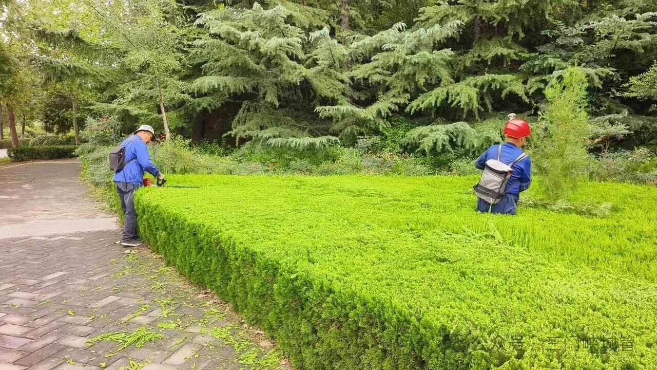 微信图片_20251020090552.jpg 微信图片_20251020090552.jpg