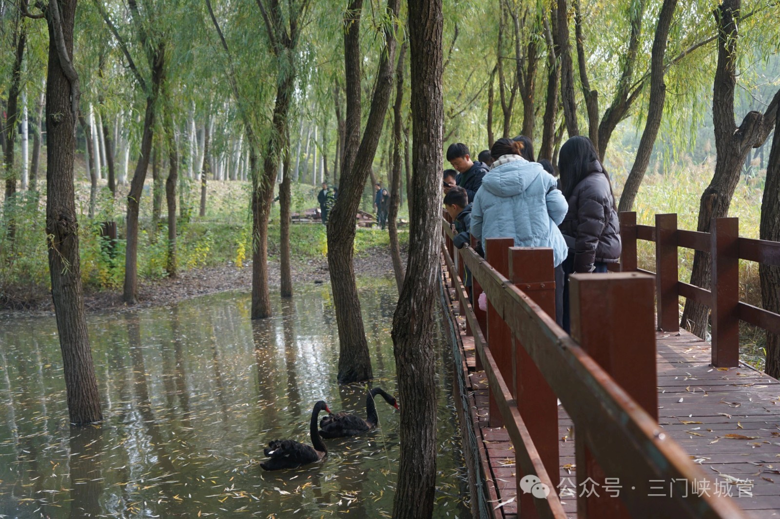 微信图片_20251027085712.jpg 微信图片_20251027085712.jpg