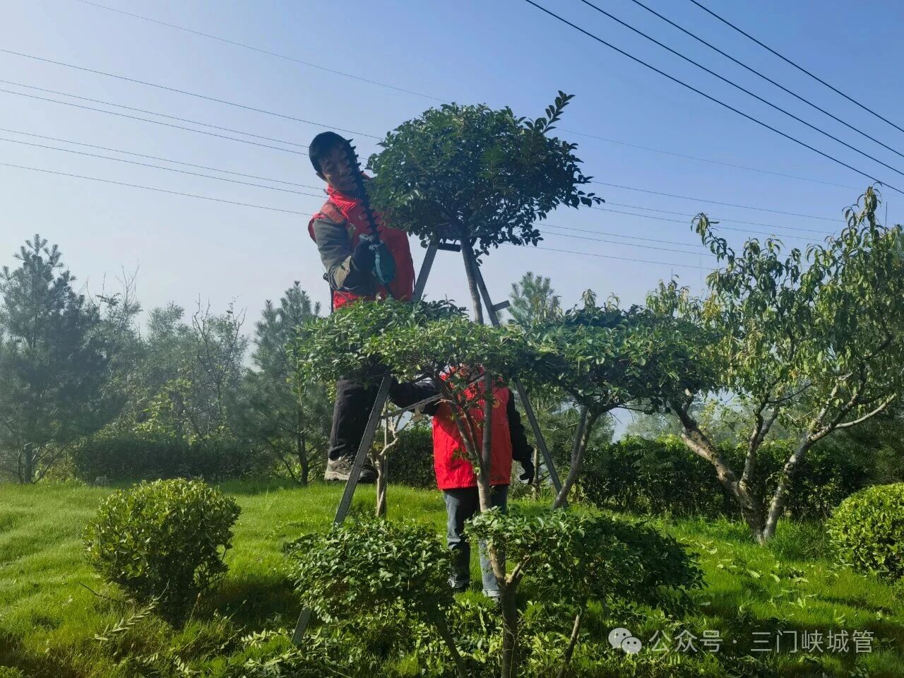 微信图片_20251028082916.jpg 微信图片_20251028082916.jpg