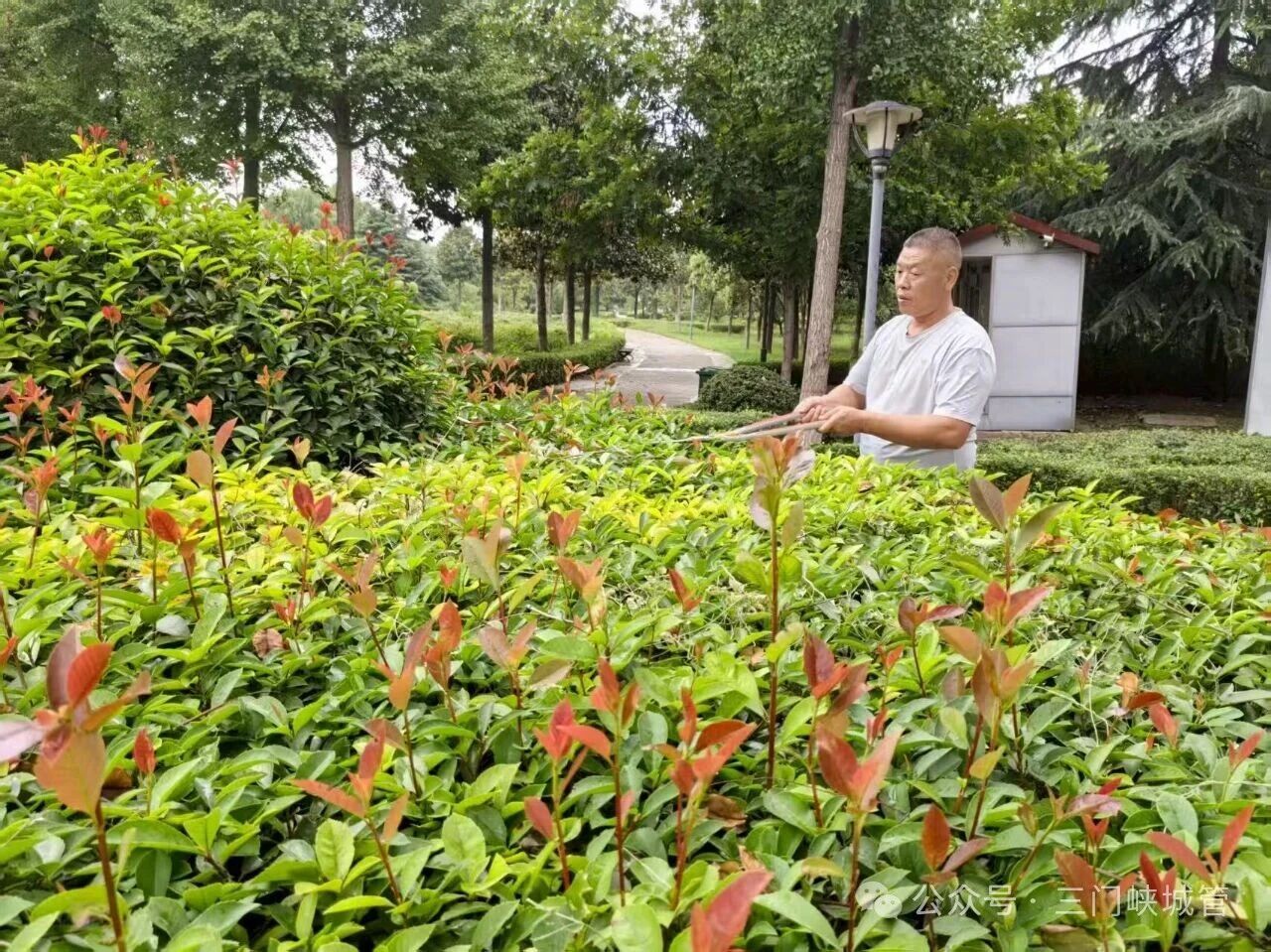 微信图片_20250905083311.jpg