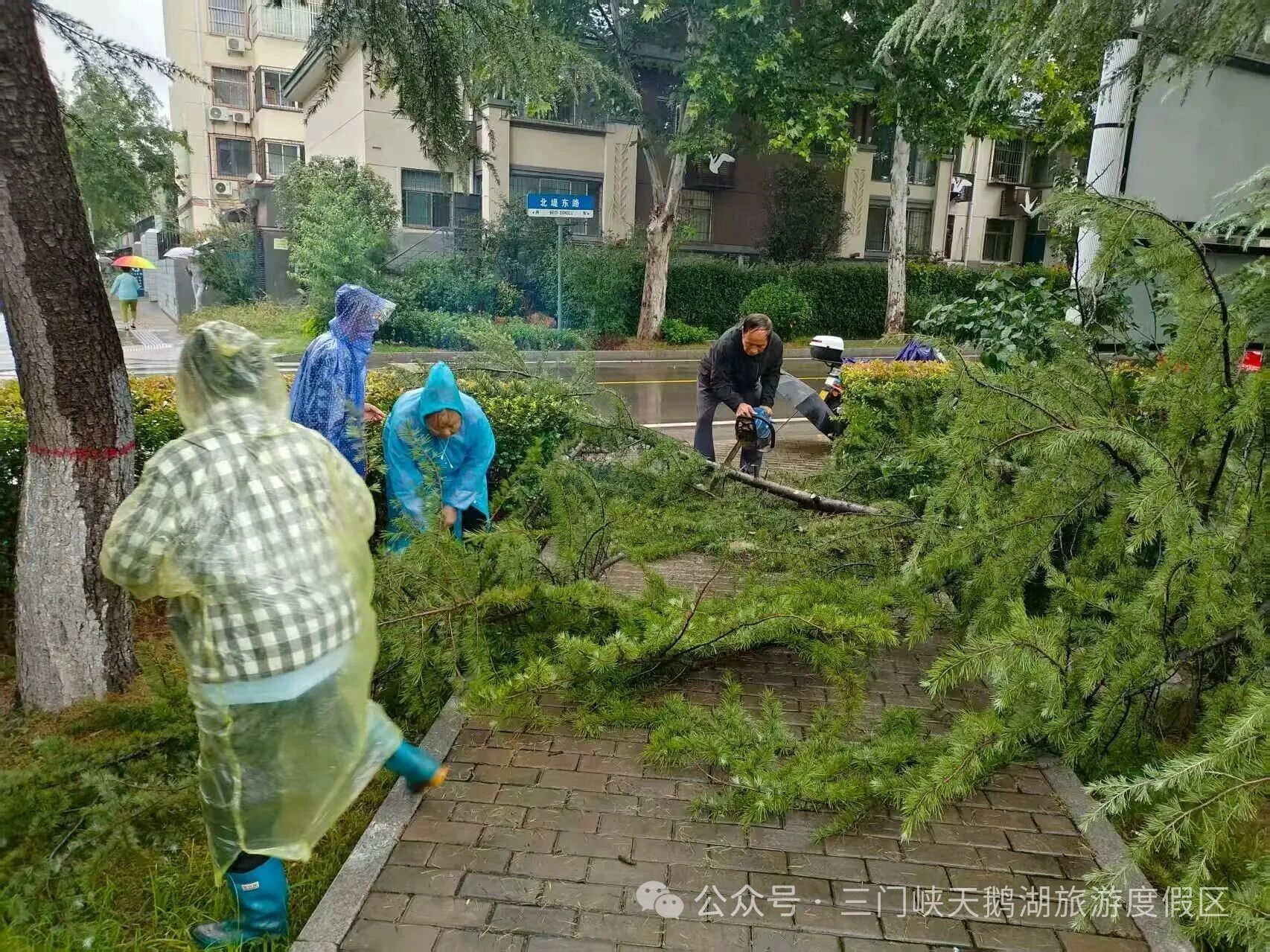 微信图片_20250908084700.jpg