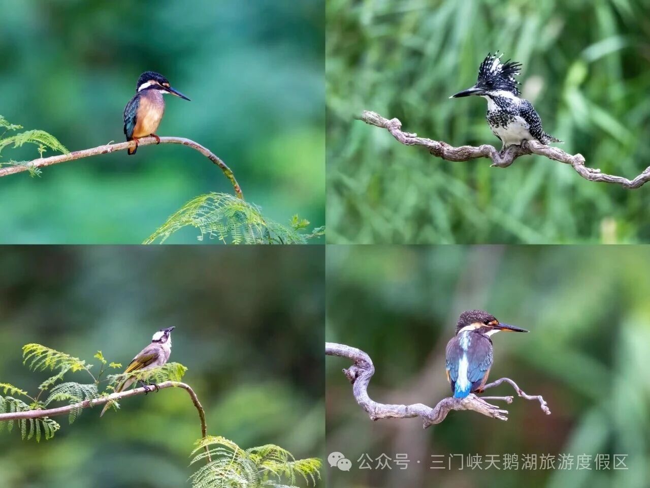 微信图片_20250912084901.jpg