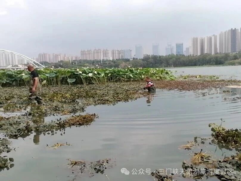 微信图片_20250912084915.jpg