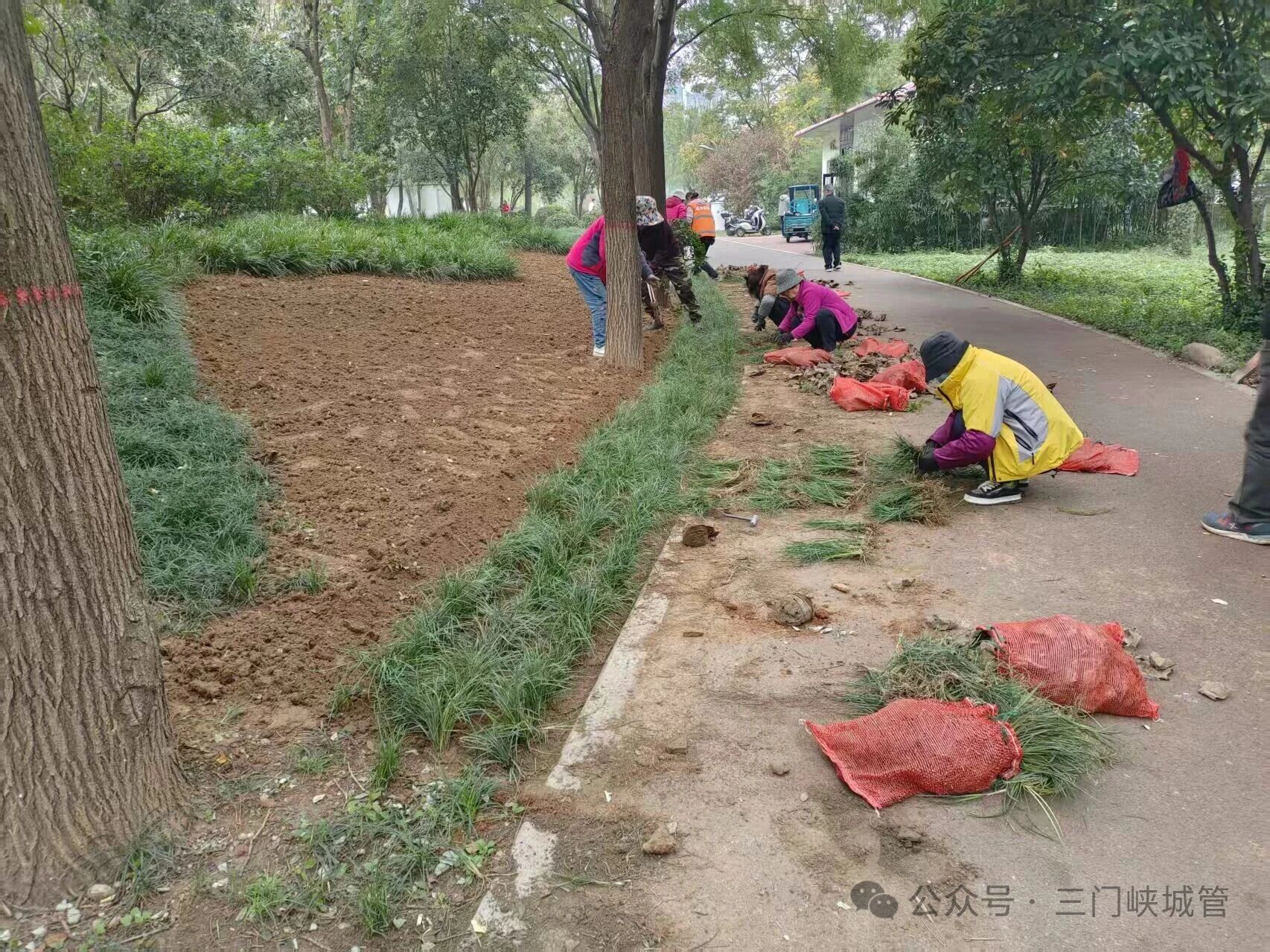 微信图片_20251103085424.jpg 微信图片_20251103085424.jpg