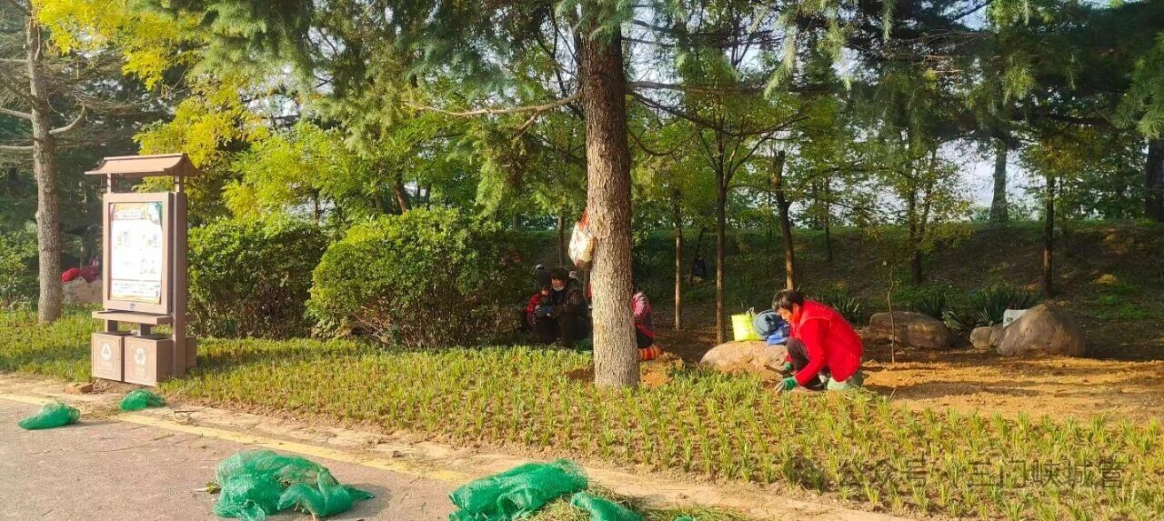 微信图片_20251103085428.jpg 微信图片_20251103085428.jpg