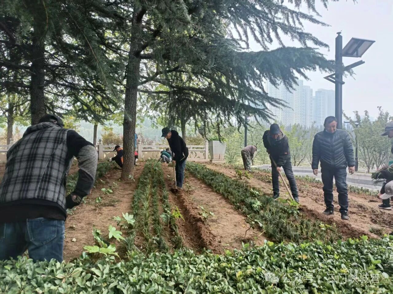 微信图片_20251103085431.jpg 微信图片_20251103085431.jpg