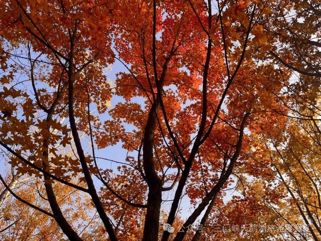 微信图片_20251105082403.jpg 微信图片_20251105082403.jpg