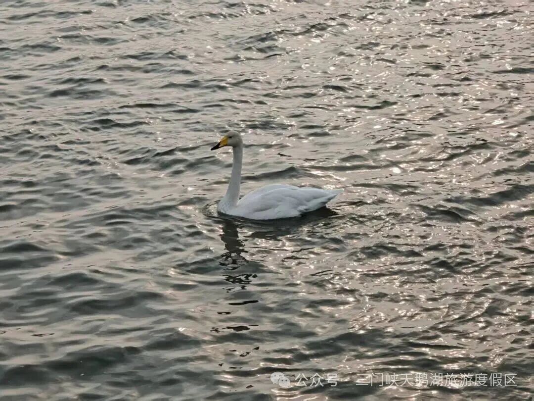 微信图片_20251107082627.jpg 微信图片_20251107082627.jpg