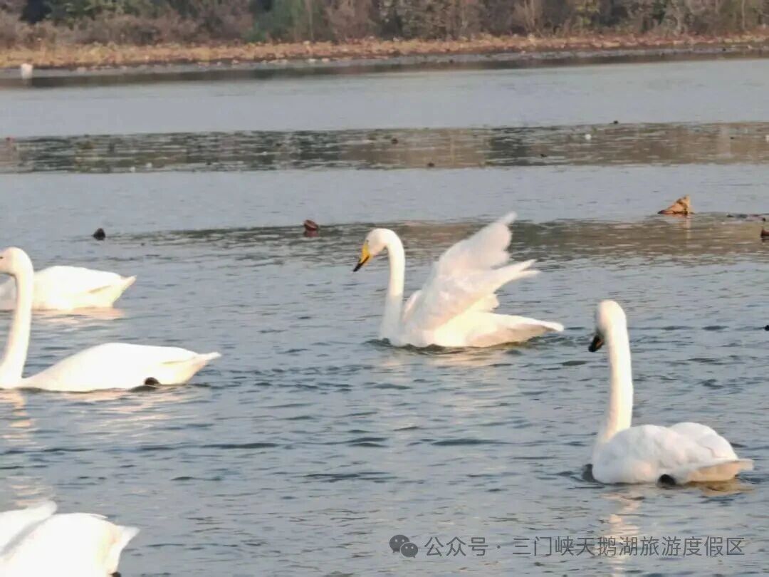 微信图片_20251107082646.jpg 微信图片_20251107082646.jpg