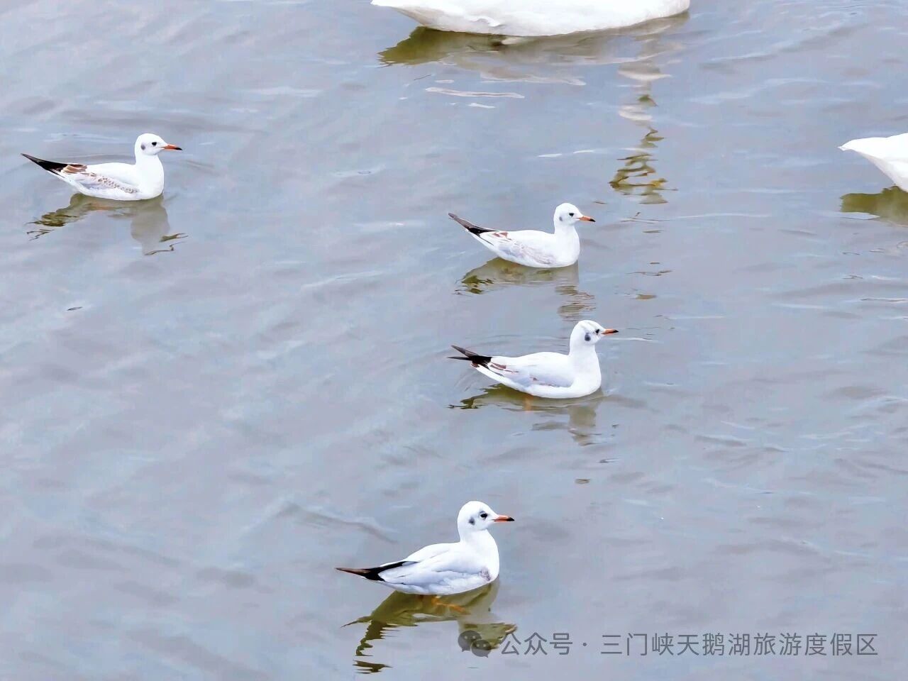 微信图片_20251109165312.jpg 微信图片_20251109165312.jpg