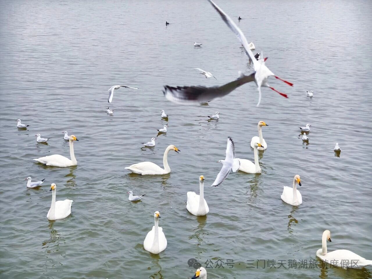 微信图片_20251109165324.jpg 微信图片_20251109165324.jpg