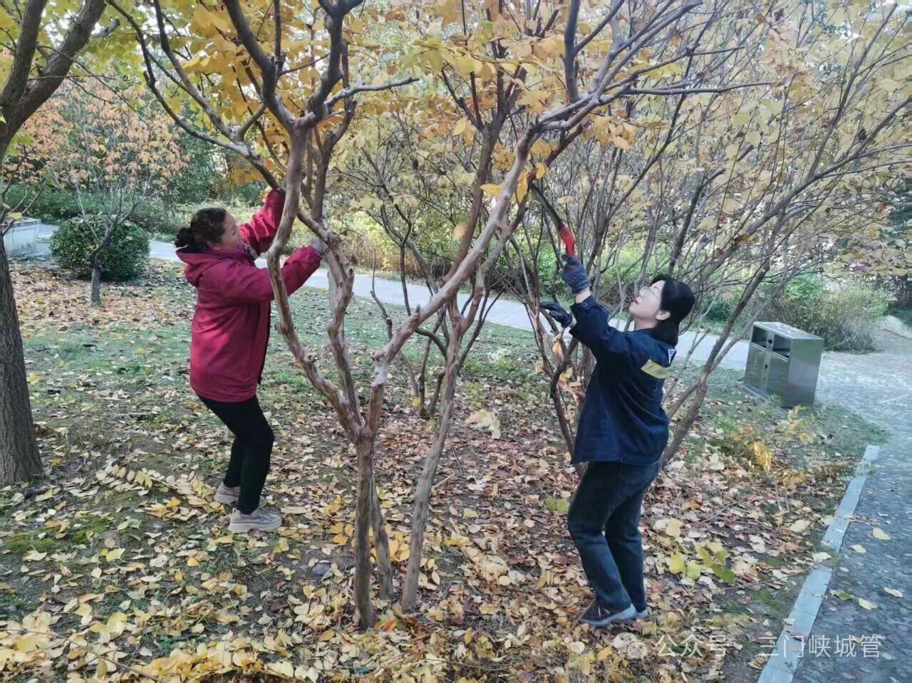 微信图片_20251113082439.jpg 微信图片_20251113082439.jpg