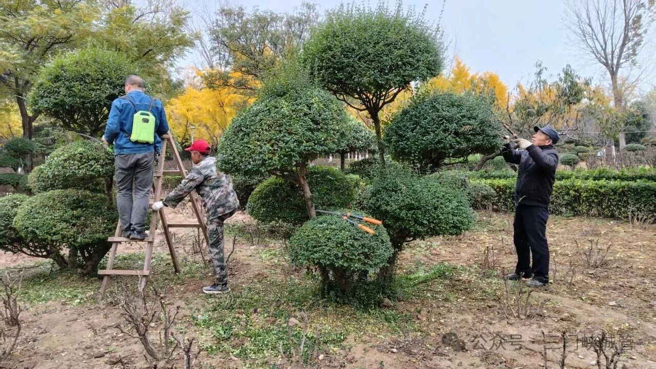 微信图片_20251120085304.jpg 微信图片_20251120085304.jpg