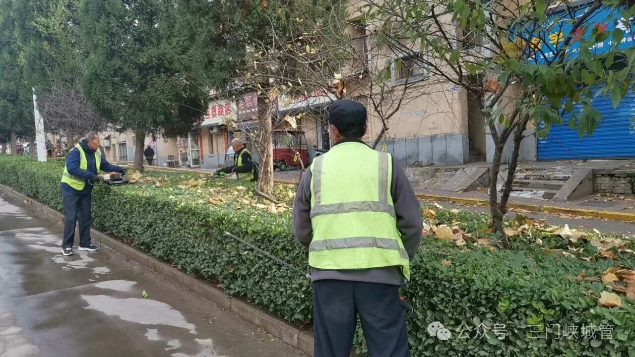 微信图片_20251120085319.jpg 微信图片_20251120085319.jpg