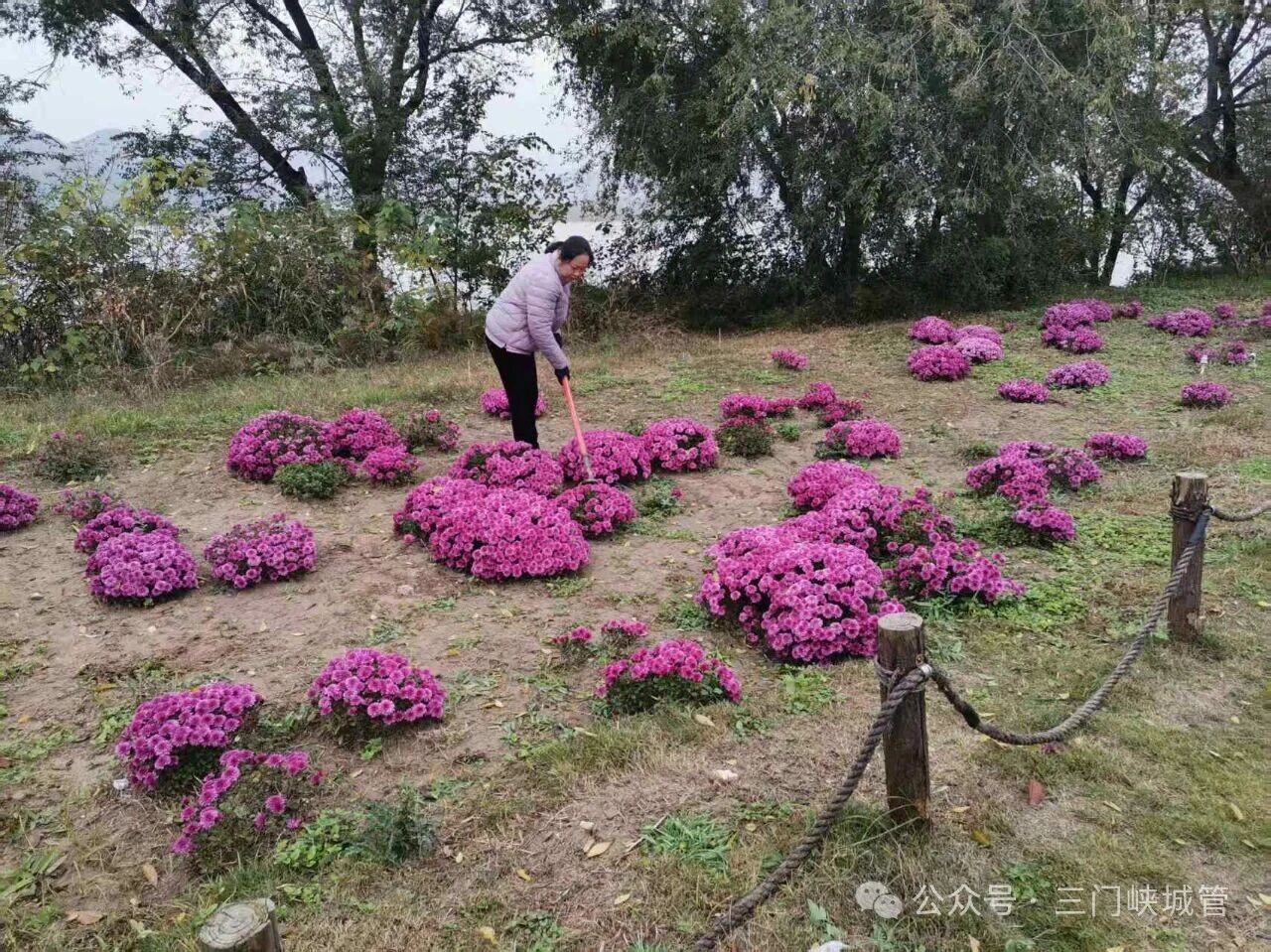 微信图片_20251120085258.jpg 微信图片_20251120085258.jpg