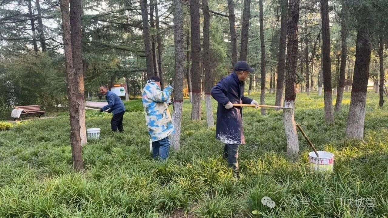 微信图片_20251201084427.jpg 微信图片_20251201084427.jpg