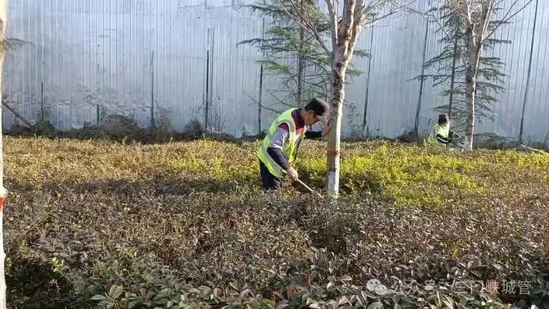 微信图片_20251201084437.jpg 微信图片_20251201084437.jpg