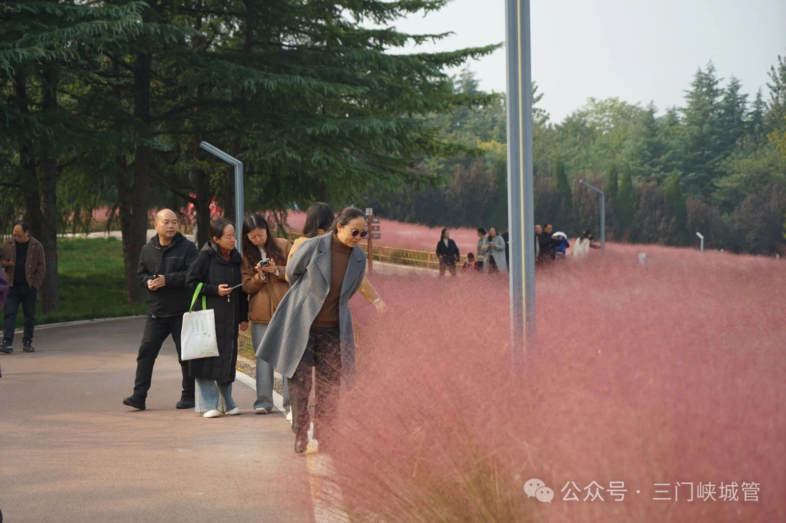 微信图片_20251027085701.jpg 微信图片_20251027085701.jpg