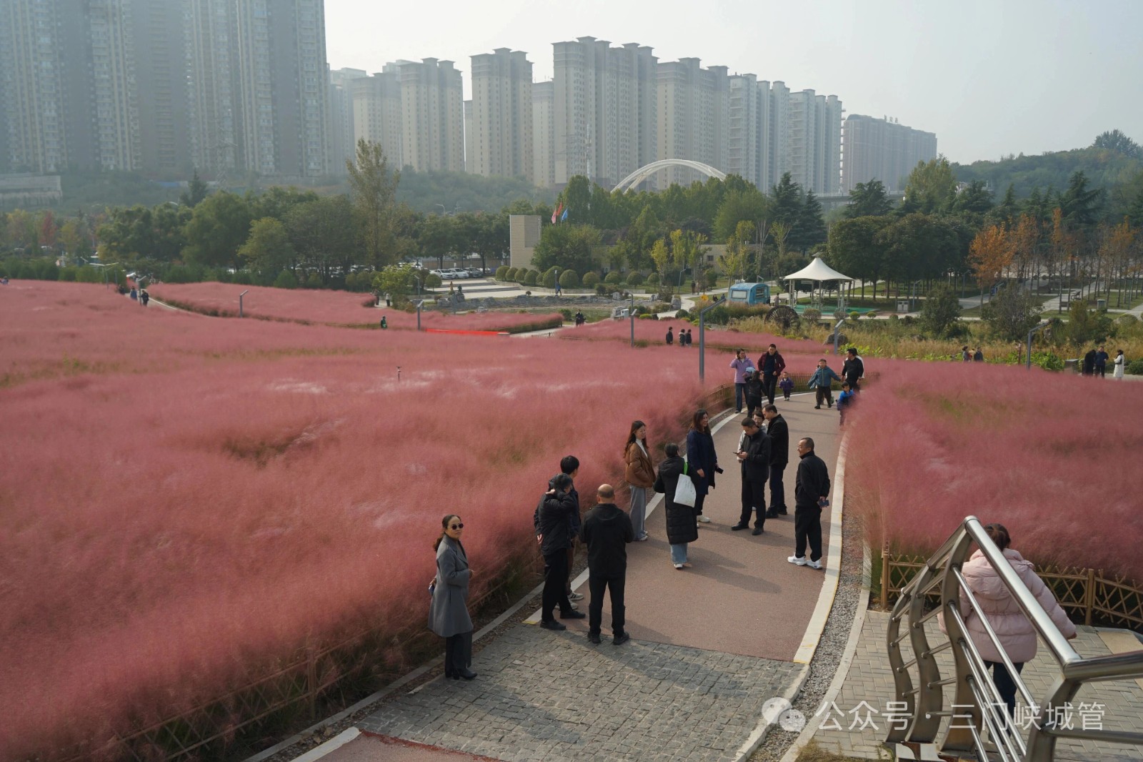 微信图片_20251027085716.jpg 微信图片_20251027085716.jpg