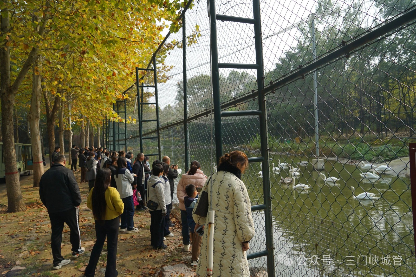 微信图片_20251027085709.jpg 微信图片_20251027085709.jpg