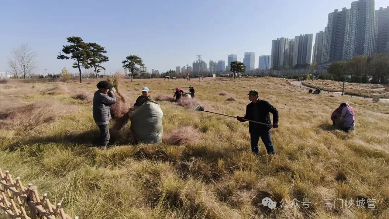 微信图片_20251204082030.jpg 微信图片_20251204082030.jpg