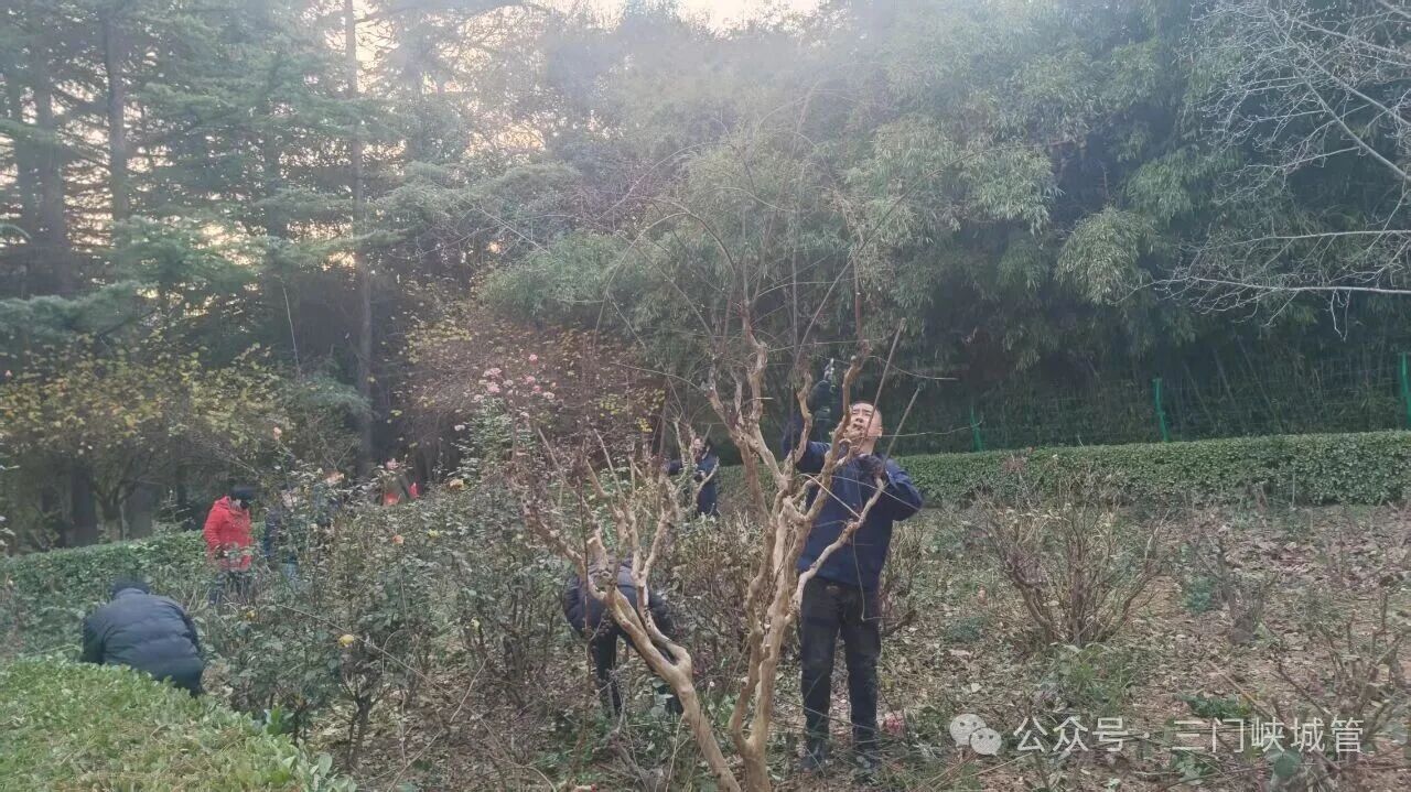 微信图片_20251204082042.jpg 微信图片_20251204082042.jpg