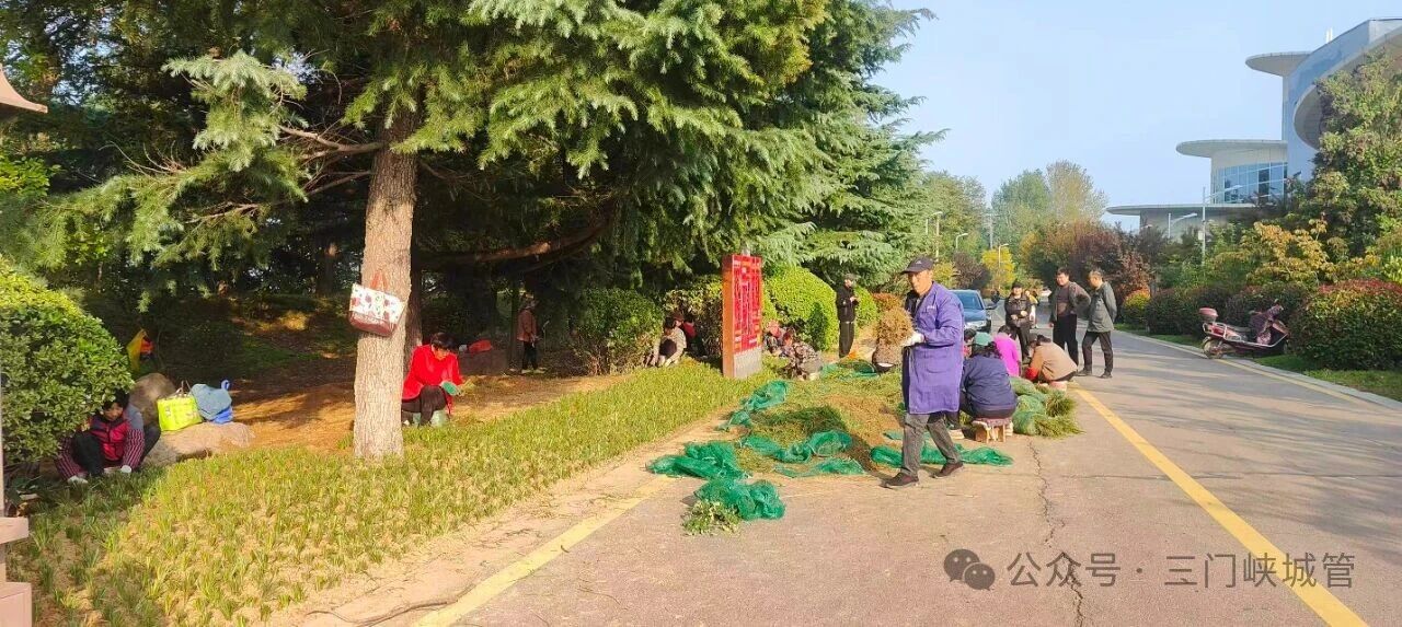 微信图片_20251103085434.jpg 微信图片_20251103085434.jpg