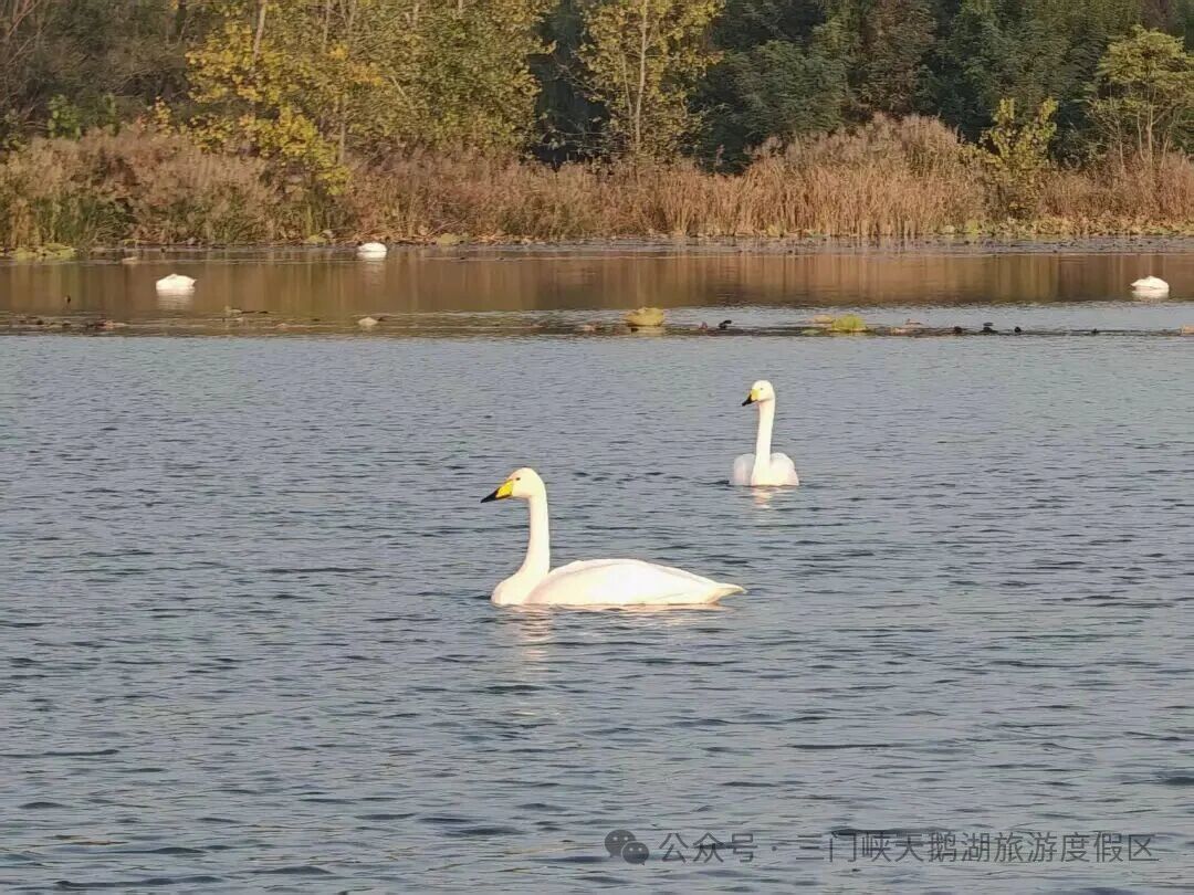 微信图片_20251104082529.jpg 微信图片_20251104082529.jpg