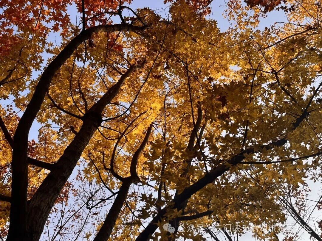 微信图片_20251105082351.jpg 微信图片_20251105082351.jpg