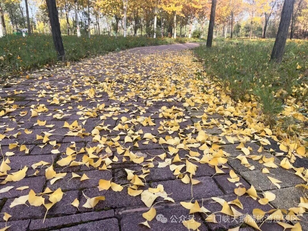 微信图片_20251105082409.jpg 微信图片_20251105082409.jpg